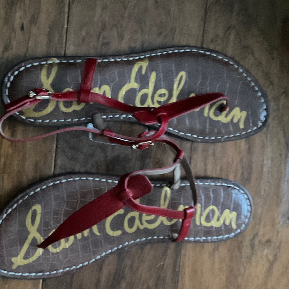 Sam Edelman Red and Brown Sandals